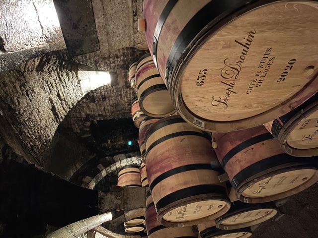 Domaine Drouhin barrels.