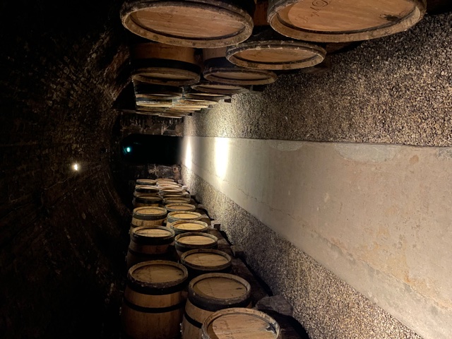 Domaine Drouhin cave.