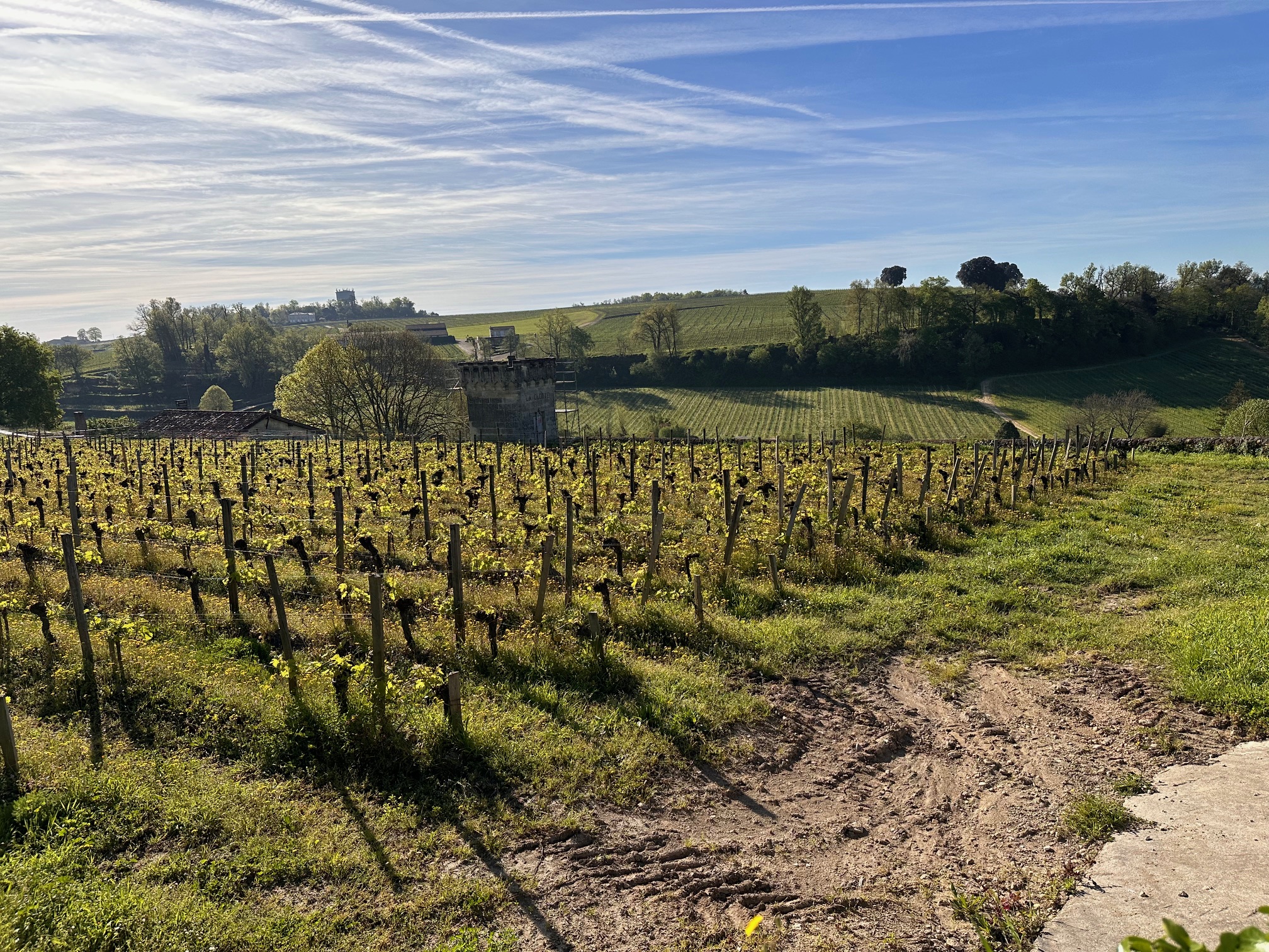 Saint Emilion