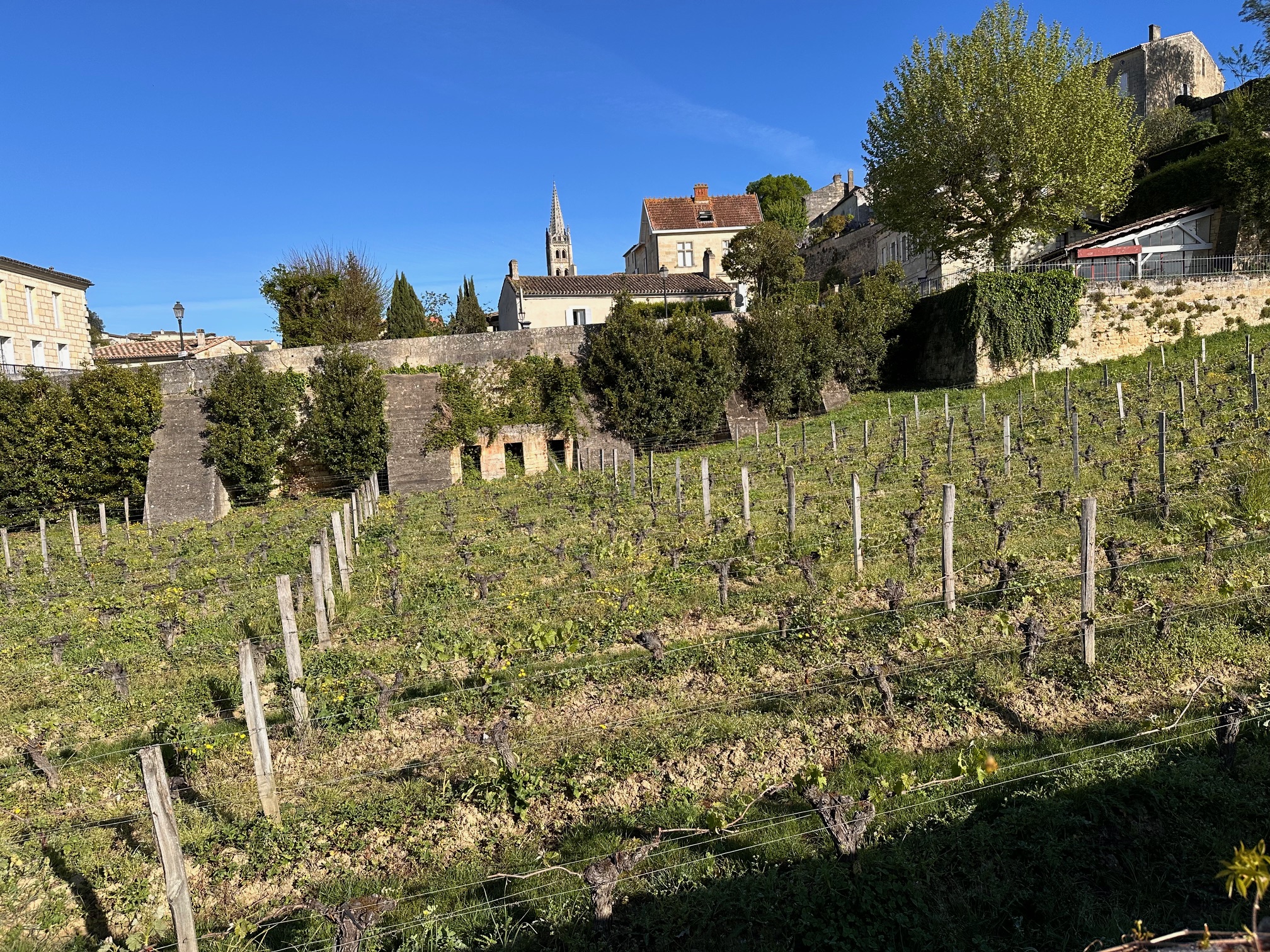 Saint Emilion