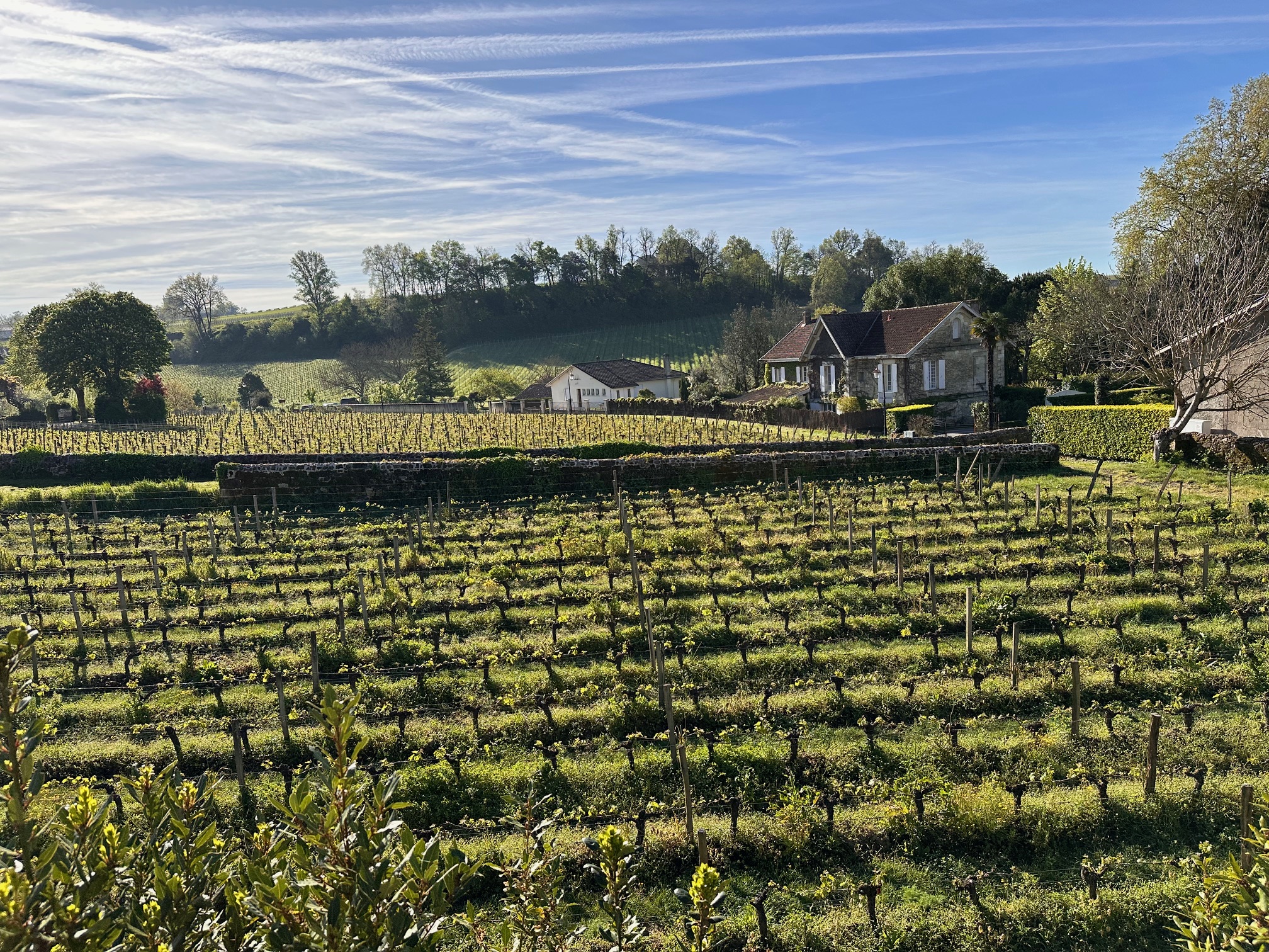 Saint Emilion