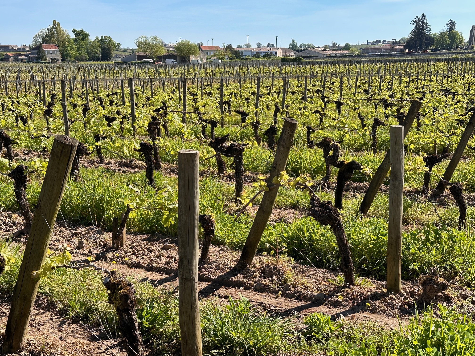 Saint Emilion