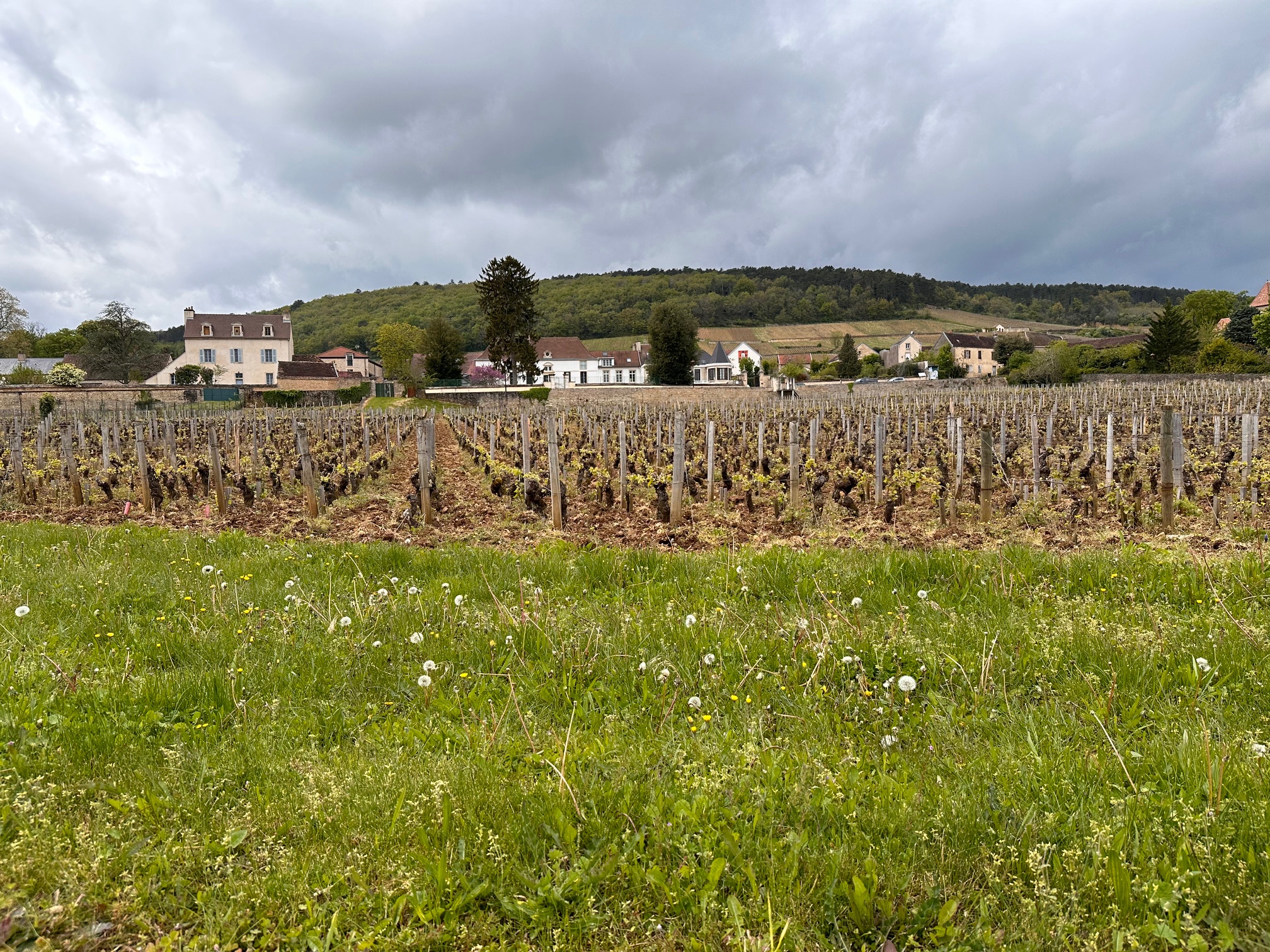 Gevrey Chambertine Vineyards